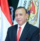 Prof. Dr. Hamdy Hassanin